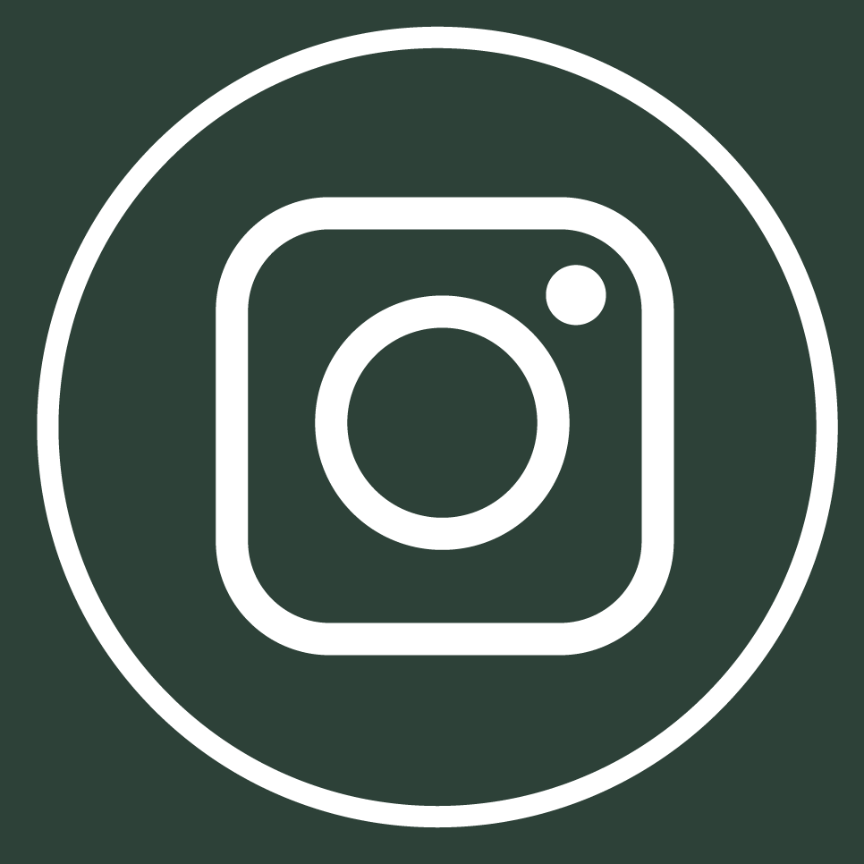 Instagram Icon